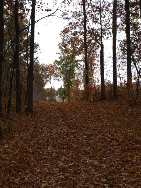 Just a peak of the house!